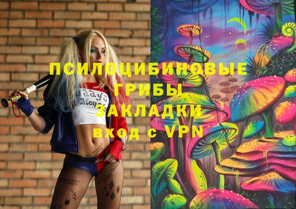a pvp Богородск