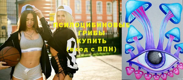 a pvp Богородск