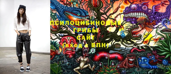 a pvp Богородск