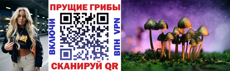 Купить где  Верхотурье  Галлюциногенные грибы мицелий 
